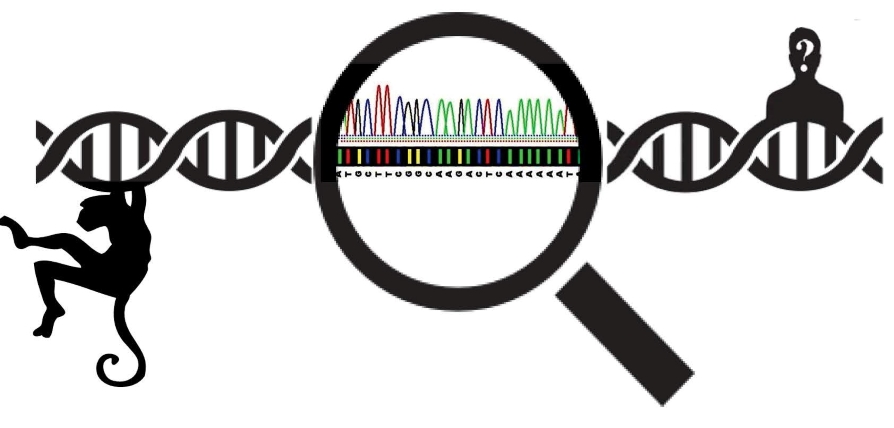 DNA with magnifying glass