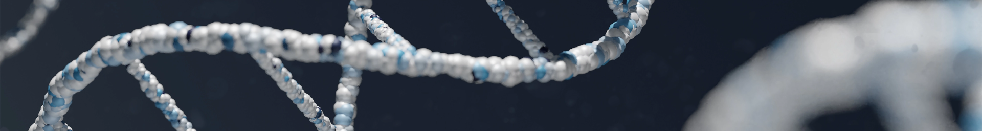 Strand of DNA